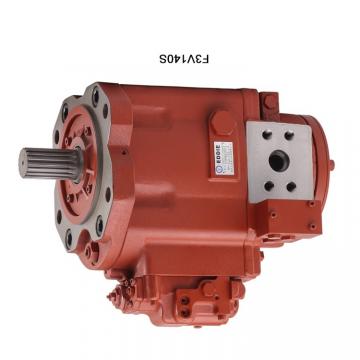 Hydraulic Pump Spare Parts Repair Kit for Rexroth AP2D12 Bobcat 331